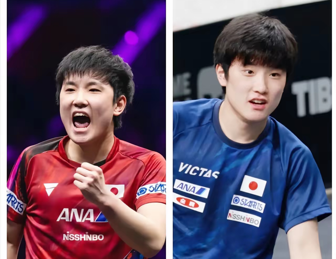 关于瑞典队绝杀韩国队，张本智和统治全场的信息