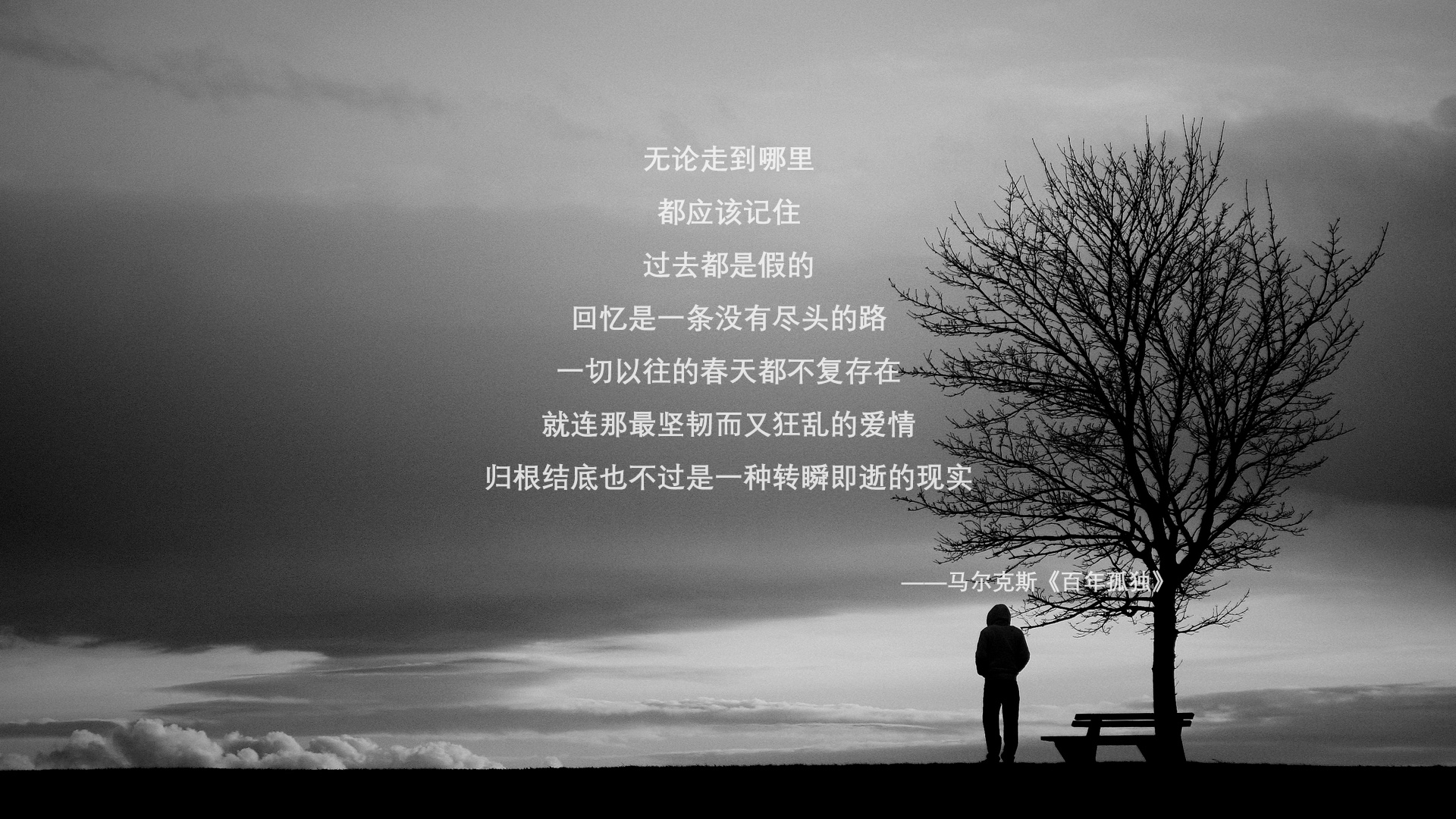 跨界终局，广厦铁骑踏平洛杉矶，巨兽锡安觉醒接管总决赛