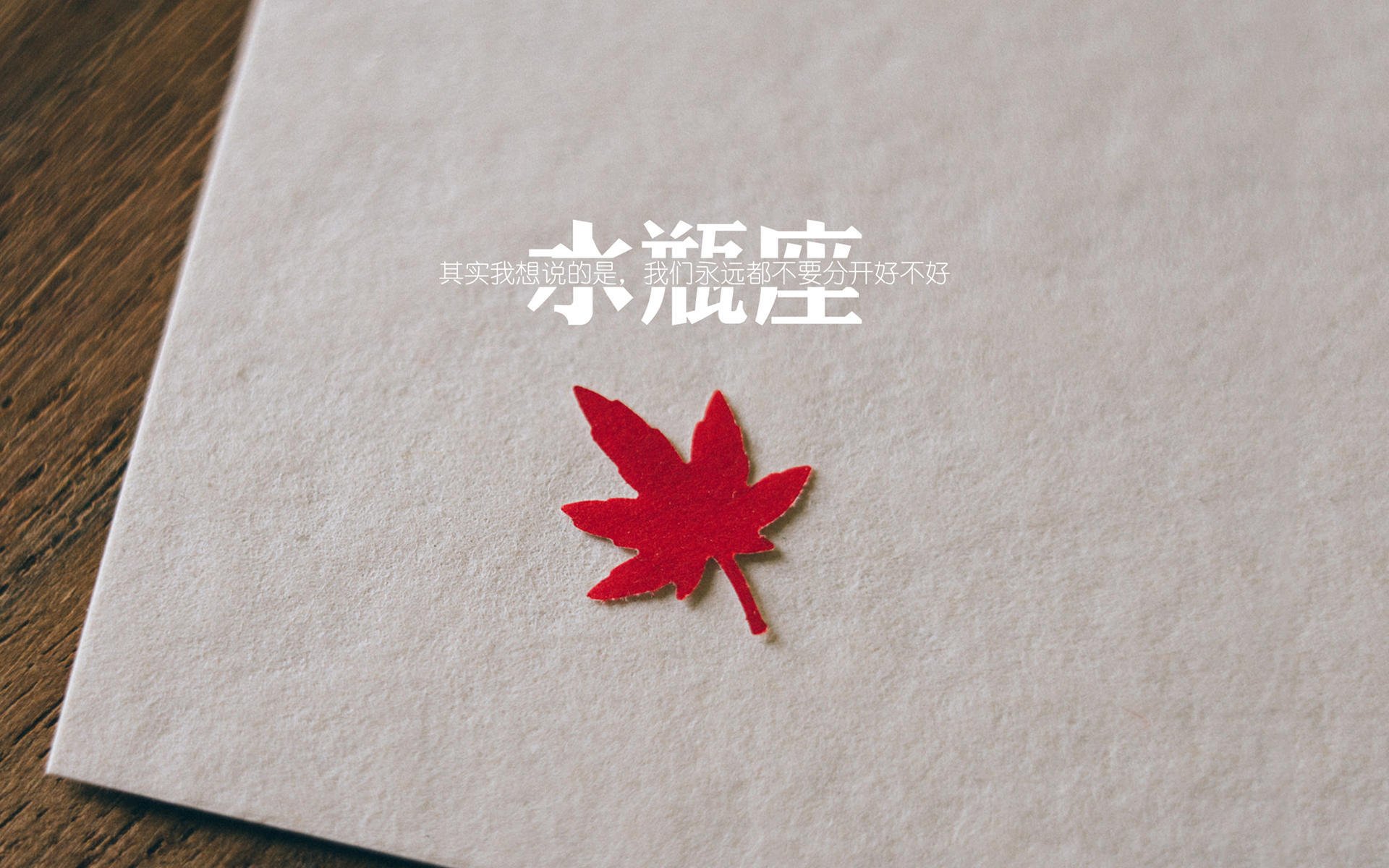 绿茵奇迹，帕尔默一剑封喉，爱尔兰打穿阿尔及利亚铁壁