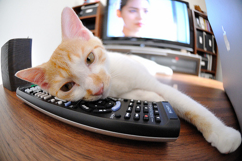 梅西闪耀赛场，塞维利亚战术纪律压制阿尔及利亚