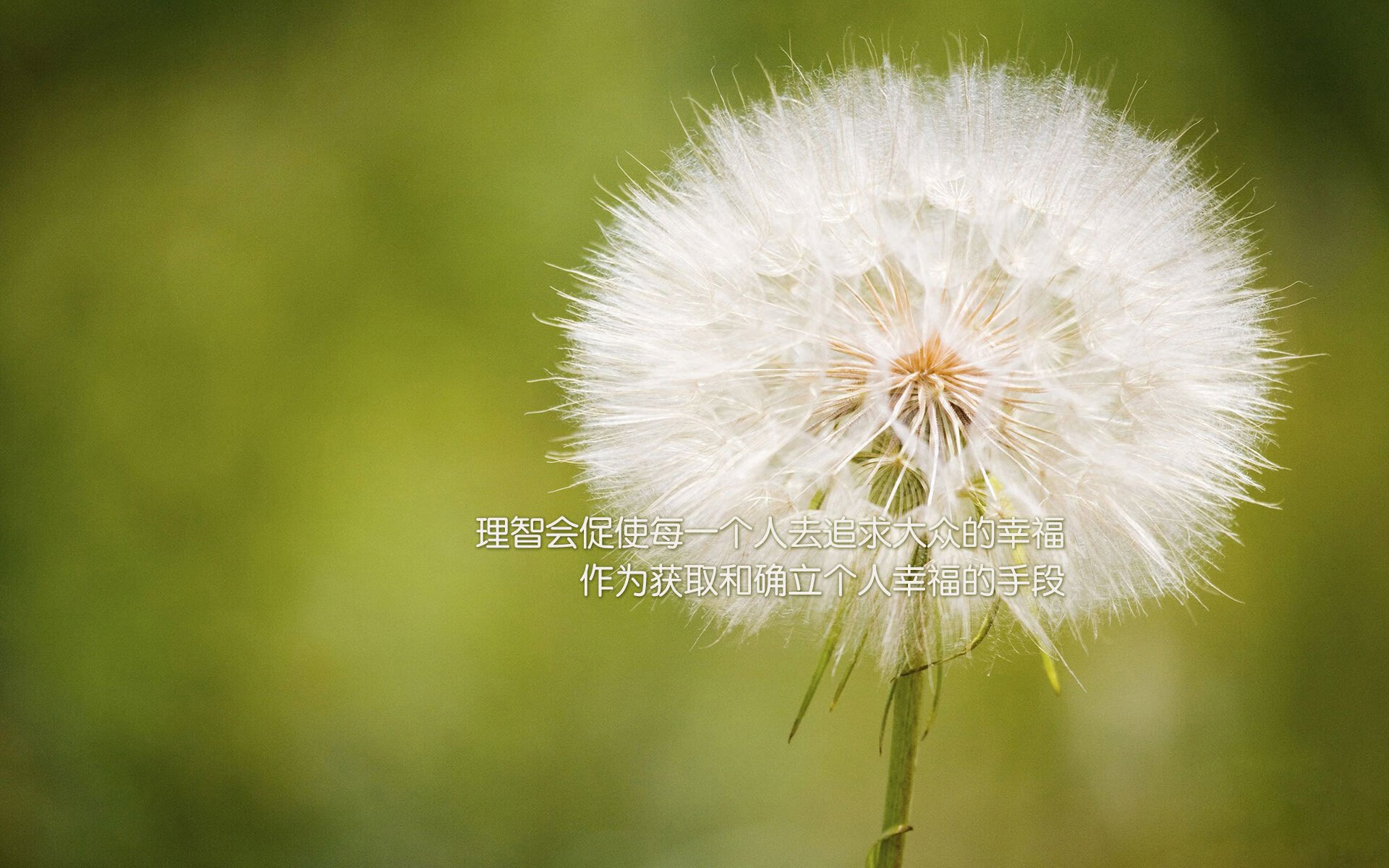 鏖战南美双雄，乌拉圭与哥伦比亚在美加墨世界杯的焦点对决纪实