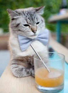 东方战场点燃红蓝烽火,萨拉赫灵光撕裂夜空,塞维利亚铁血晋级书写中国篇章