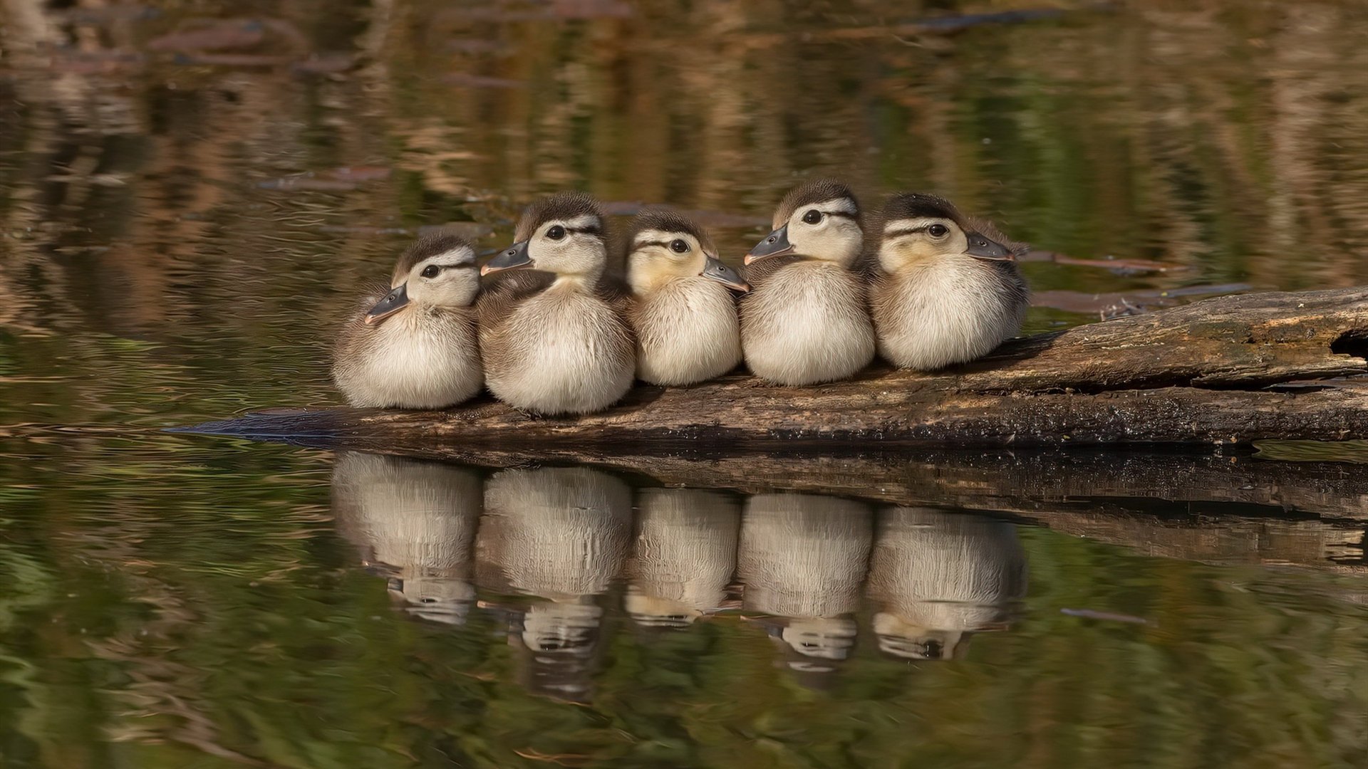 玻利维亚海拔4000米，巴黎巨星集体梦游，这场欧冠淘汰赛颠覆了足球地理学