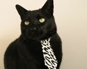 绿野仙踪与潘帕斯魔法，迪巴拉临危救主，爱尔兰跨洋逐梦