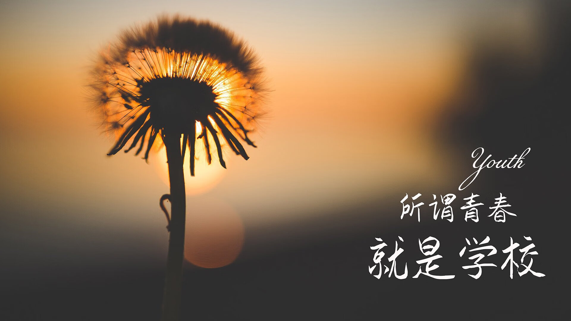 撕裂次元壁，当广厦狂潮席卷魔术主场，字母哥在摩纳哥弯道完成致命超车