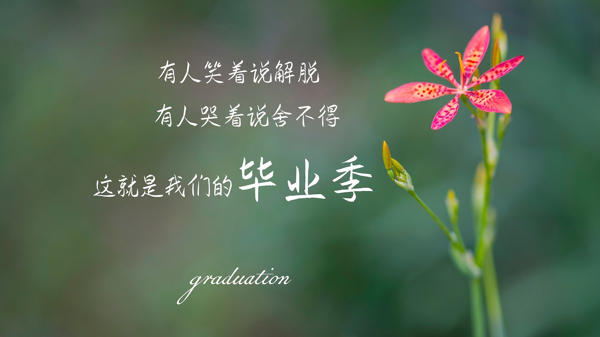 神兵天降！卡瓦哈尔以教科书式防守锁死加纳尖刀