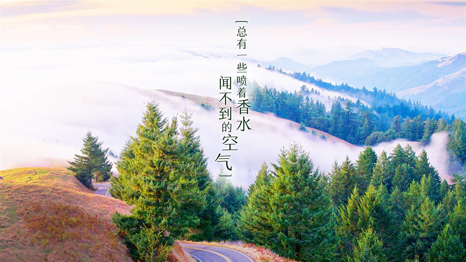 节奏的密码,从突尼斯险胜到哈兰德统治—世界杯关键积分战中的掌控之道