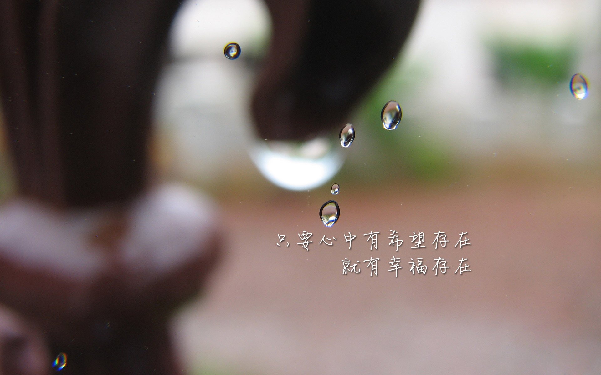 2026世界杯,东欧风暴席卷E组,波兰新三剑客与加维的战术悖论