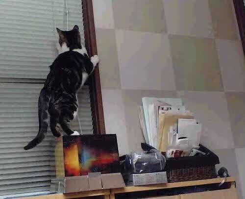 以下是为您构思的文章标题及正文